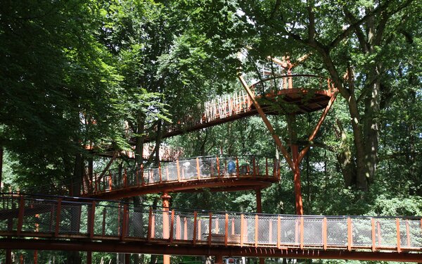 Baumkronenpfad im Tierpark  Forstamt Stavenhagen