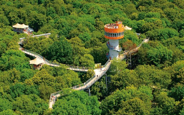 Baumkronenpfad im Sommer, Foto: KTL Kur und Tourismus Bad Langensalza GmbH