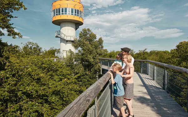 Baumkronenpfad im Nationalpark Hainich, Foto: KTL Kur und Tourismus Bad Langensalza GmbH