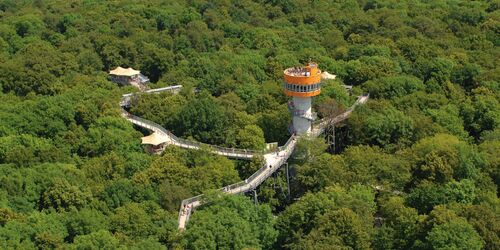 Baumkronenpfad, Foto: KTL Kur und Tourismus Bad Langensalza GmbH