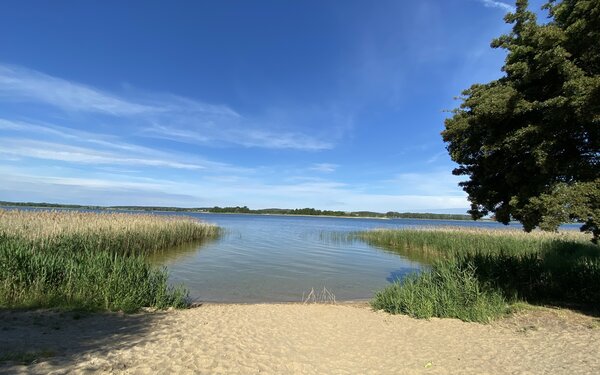 Badestelle am Oberuckersee Warnitz, Foto: Alena Lampe