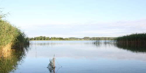 Am Oberuckersee, Foto: Alena Lampe