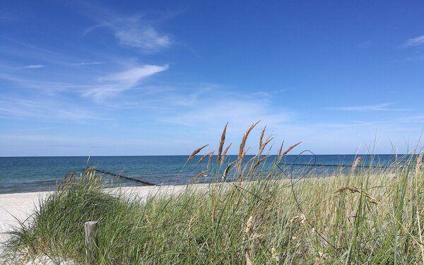 Ostsee im Sommer TV FDZ/Luisa Uchtenhagen