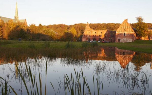 Doberaner Münster mit Klosteranlage im Abendlicht Tourist-Information Bad Doberan-Heiligendamm