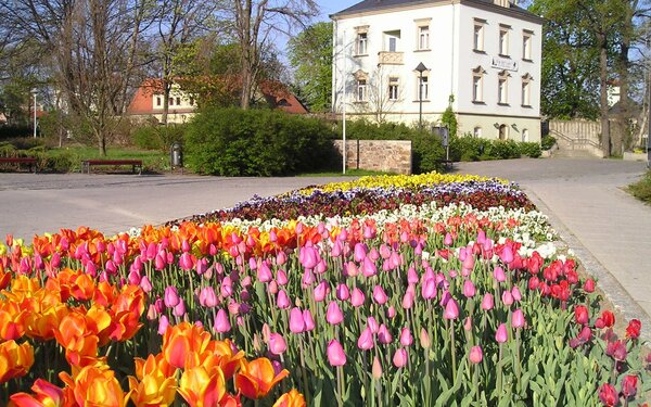 Karrasburg Museum Coswig  Stadt Coswig