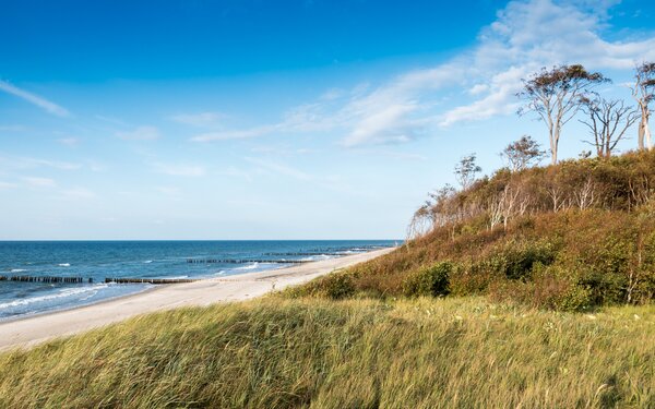 Küstenlandschaft bei Graal-Müritz, Foto: André Pristaff