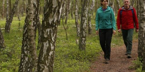 Wanderer im Birkenmoorwald TMV/outdoor-visions.com