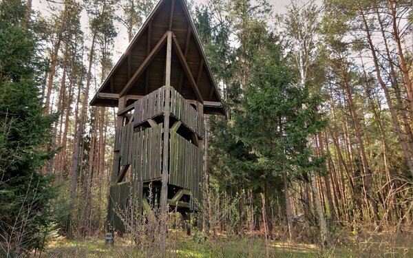 Lobenturm, Foto: Cordula Schladitz, Lizenz: Cordula Schladitz