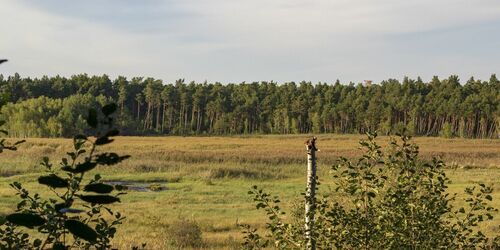 Aussicht vom Lobenturm, Foto: TMB-Fotoarchiv/ScottyScout , Lizenz: TMB-Fotoarchiv/ScottyScout