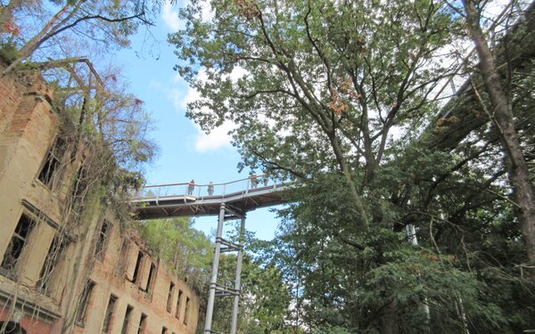 Baumwipfelpfad in Beelitz-Heilstätten, Foto: terra press Berlin