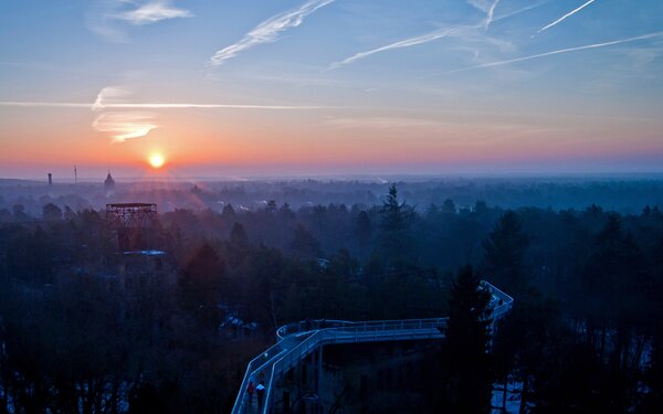 Baum&Zeit Baumkronenpfad - Sonnenuntergang, Foto: Baumkronenpfad Beelitz-Heilstätten