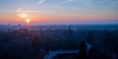Baum&Zeit Baumkronenpfad - Sonnenuntergang, Foto: Baumkronenpfad Beelitz-Heilstätten