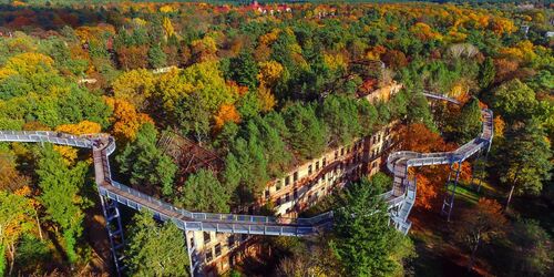 Baum&Zeit Baumkronenpfad im Herbst, Foto: Baumkronenpfad Beelitz-Heilstätten