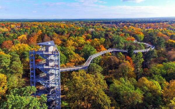 Baum&Zeit Baumkronenpfad - Turm & Pfad, Foto:  Baumkronenpfad Beelitz-Heilstätten