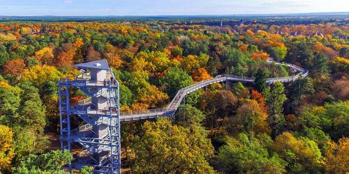 Baum&Zeit Baumkronenpfad - Turm & Pfad, Foto:  Baumkronenpfad Beelitz-Heilstätten