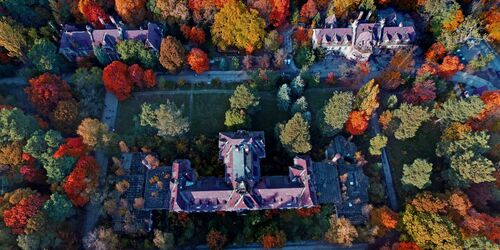 Baum&Zeit Baumkronenpfad - Herbstimpression, Foto: Baumkronenpfad Beelitz-Heilstätten