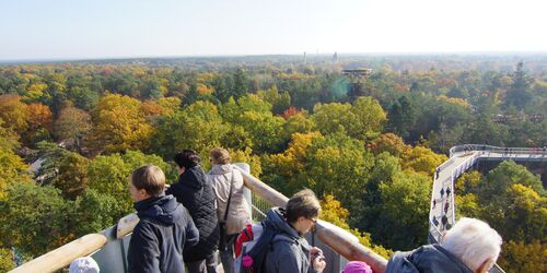 Baum&Zeit Baumkronenpfad - Aussichtsplattform im Herbst, Foto: Baumkronenpfad Beelitz-Heilstätten