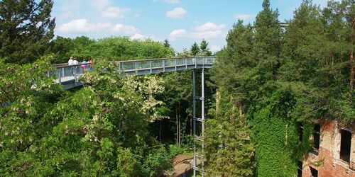 Baum&Zeit Baumkronenpfad - Dachwald & Pfad im Frühling, Foto: Baumkronenpfad Beelitz-Heilstätten