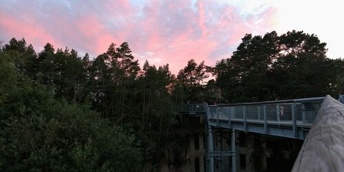 Baum&Zeit Baumkronenpfad - Lange Nacht, Foto: A. Tischer, Lizenz: Tourismusverband Fläming e.V.