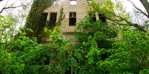 Baum&Zeit Baumkronenpfad - Wald-Park mit Ruine des Alpenhaus, Foto: Baumkronenpfad Beelitz-Heilstätten