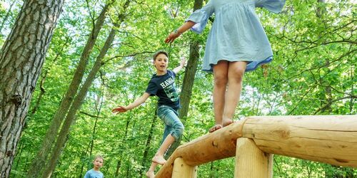 Balance-Stamm, Foto: Pressefoto, Lizenz: Der Barfußpark Beelitz-Heilstätten