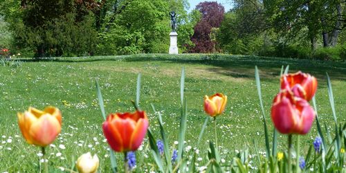 Lennépark in Frankfurt (Oder), Foto: Peter Gudlowski