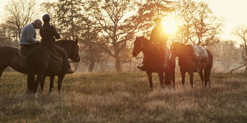 Ausritte im Western-Stil, Foto: Cavalan