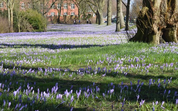 Schlosspark Husum, Foto: Pixabay