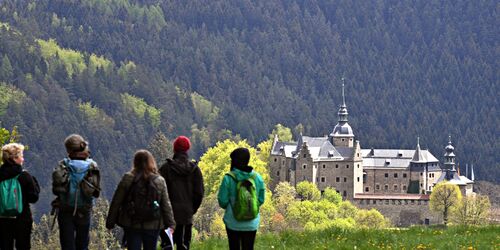 Wandern mit Waldwichtel – genießen beim Windbeutelfürst 