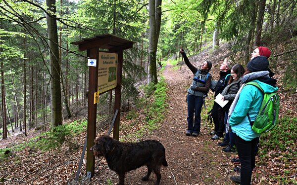 Lauenstein, Märchenweg, Foto: Ronald Rinklef