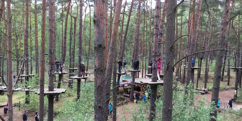 Klettern im Kletterwald, Foto: Kletterwald Schorfheide, Lizenz: Kletterwald Schorfheide