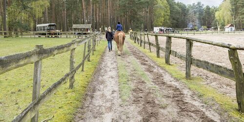Wildpark Schorfheide, Foto: TMB-Fotoarchiv/Steffen Lehmann, Lizenz: TMB