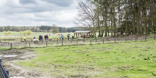 Wildpark Schorfheide, Foto: TMB-Fotoarchiv/Steffen Lehmann, Lizenz: TMB
