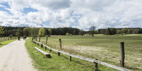 Wildpark Schorfheide, Foto: TMB-Fotoarchiv/Steffen Lehmann, Lizenz: TMB