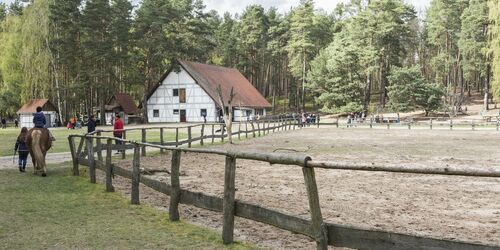 Wildpark Schorfheide, Foto: TMB-Fotoarchiv/Steffen Lehmann, Lizenz: TMB