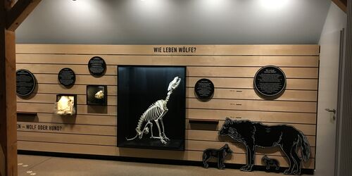 Wolfsinformationszentrum 2, Foto: Anke Bielig