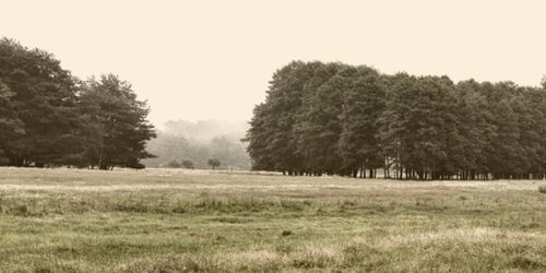 Wildpark Schorfheide, Foto: Wildpark Schorfheide gGmbH