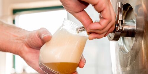 Frischbier aus der Anlage, Foto: Torsten Stapel