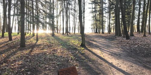 Fontanepark Bad Saarow mit Literaturpfad, Foto: Laura Beister