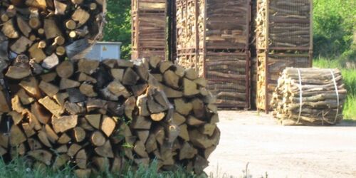 Bergschäferei / Die Biokelterei - Brennholz auf dem Hof