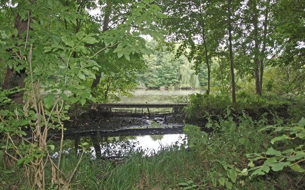 Zülowseen, Steg, Foto: Peggy Heydick