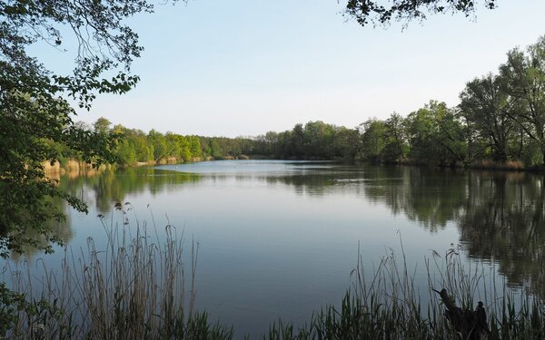 Kiessee, Foto: Peggy Heydick