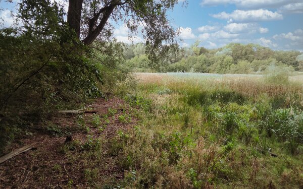 Fauler See, Foto: terra press