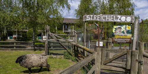 Streichelzoo, Foto: Bernsteinreiter