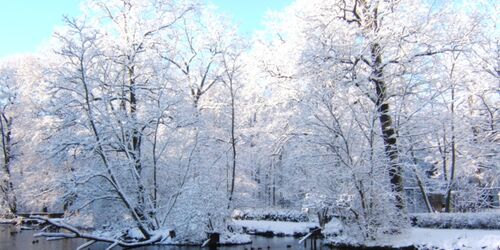 Winterzauber, Foto: Tierpark Cottbus