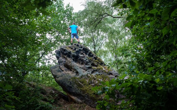 Caspar-David-Friedrich-Weg, Foto: Tourismusverband Sächsische Schweiz e. V.