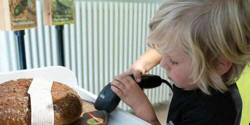 Naturparkausstellung zum Anfassen, Foto: Julia Borchardt / vivografie.de