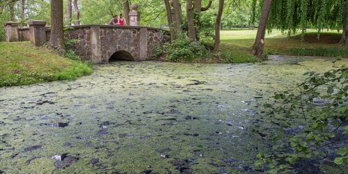 Gutspark Lindenberg, Foto: Florian Läufer, Lizenz: Seenland Oder-Spree